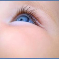 Funcionamiento del ojo – ¿cómo vemos?